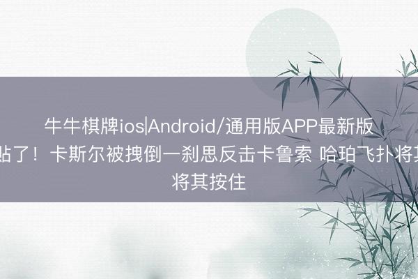 牛牛棋牌ios|Android/通用版APP最新版 太妥贴了！卡斯尔被拽倒一刹思反击卡鲁索 哈珀飞扑将其按住