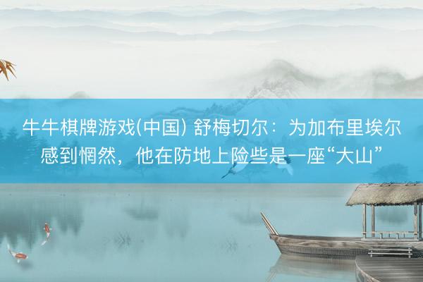 牛牛棋牌游戏(中国) 舒梅切尔：为加布里埃尔感到惘然，他在防地上险些是一座“大山”