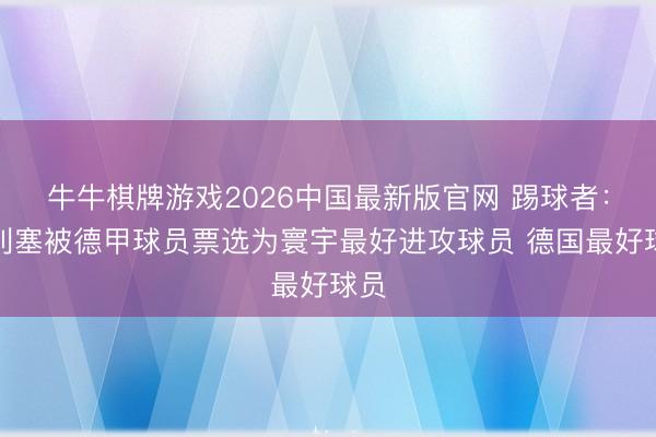牛牛棋牌游戏2026中国最新版官网 踢球者：奥利塞被德甲球员票选为寰宇最好进攻球员 德国最好球员