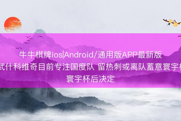 牛牛棋牌ios|Android/通用版APP最新版 克媒：武什科维奇目前专注国度队 留热刺或离队蓄意寰宇杯后决定