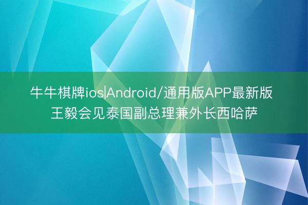 牛牛棋牌ios|Android/通用版APP最新版 王毅会见泰国副总理兼外长西哈萨